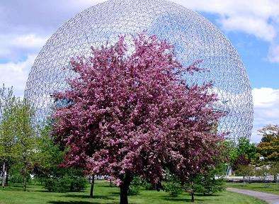 自然生態博物館 Biosphere Environment Museum