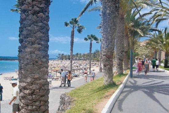 特內裡費海灘 Tenerife Beaches