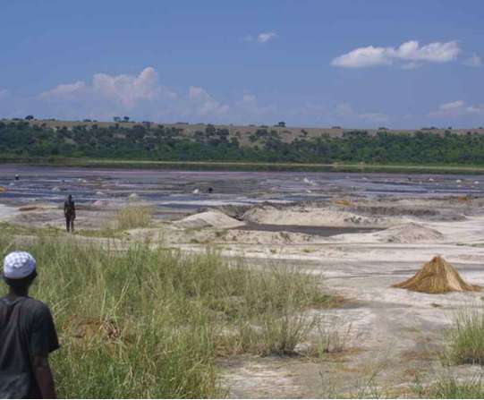 烏幹達喬治湖 Lake George Uganda