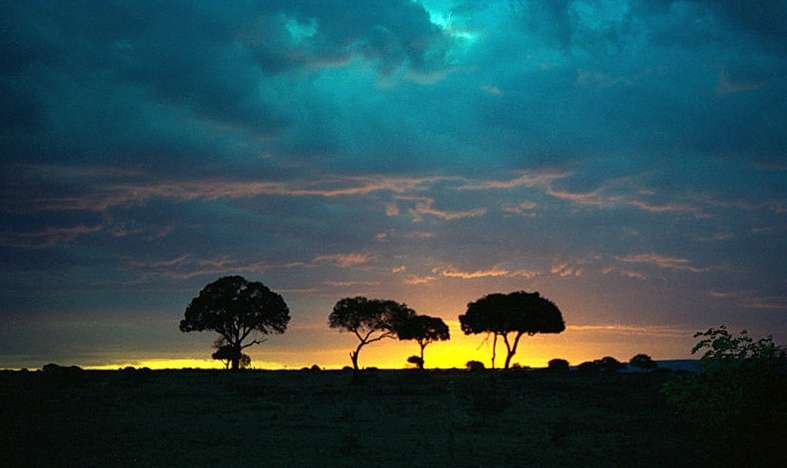 馬賽馬拉國傢野生動物保護區 Maasai Mara National Reserve