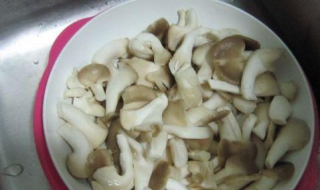 鳳尾菇湯的做法 朋友們可以試一下