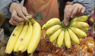 芭蕉和香蕉的區別 從中醫角度來說都有潤腸通便功效