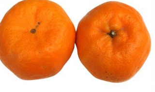 蘆柑和橘子的區別 食用功效不一樣