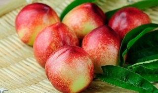 桃子的營養價值 主要有這五方面