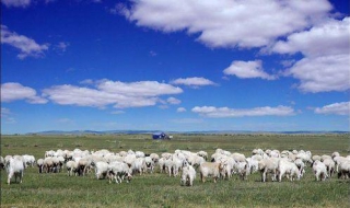 內蒙古旅遊註意事項 這幾點一定要清楚