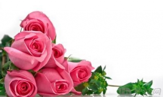 送花祝福語 情人節送花這樣寫祝福語為你加分