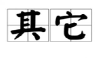 其他與其它的區別 考慮好再用防止出錯