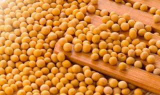 醋泡黃豆的做法是怎麼樣的 黃豆要泡多久才可以吃