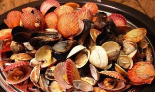 貝類海鮮的做法有哪些 幹貝海鮮鍋怎麼做