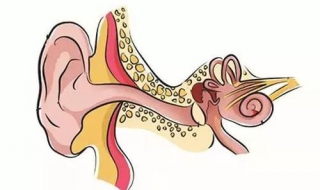 中耳炎怎麼辦 如何預防中耳炎
