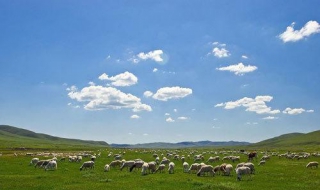 風吹草低見牛羊的見是什麼意思 詳情如下