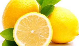 檸檬不能和什麼一起吃 食用禁忌總結如下