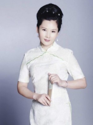 何賽飛