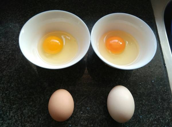 如何辨別真假雞蛋