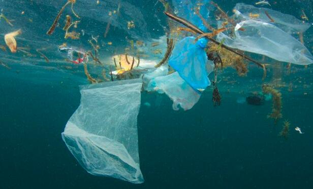 塑料袋屬於什麼垃圾