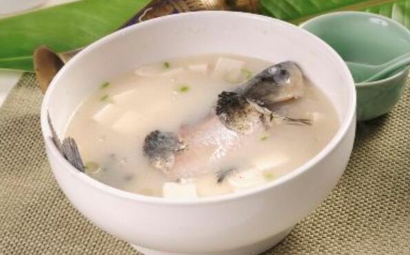 喝鯽魚豆腐湯能補鈣嗎