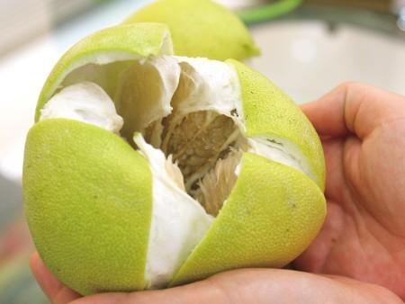 柚子皮能吸甲醛嗎