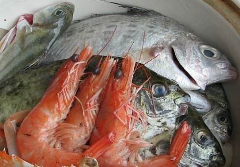 吃海魚會過敏嗎