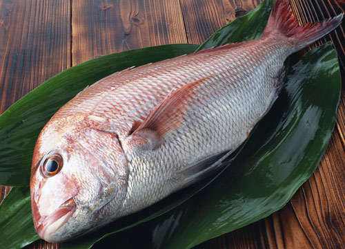 吃海魚會過敏嗎