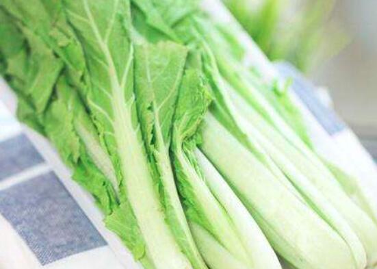肝臟排毒吃什麼好