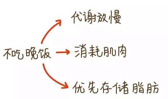 不吃晚飯能減肥嗎