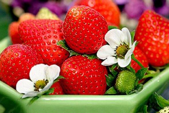 吃什麼水果最減肥