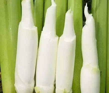 哪些人不能吃篙芭