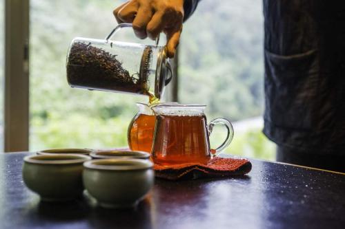 經常飲用隔夜茶會引發哪些病癥