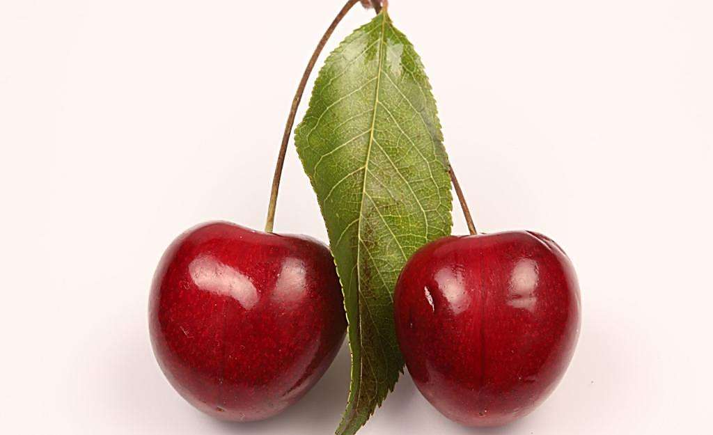 糖尿病能不能吃櫻桃