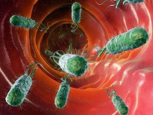 幽門螺旋桿菌是什麼 該如何預防