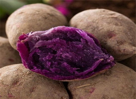 糖尿病可以吃紫薯嗎 有哪些營養價值