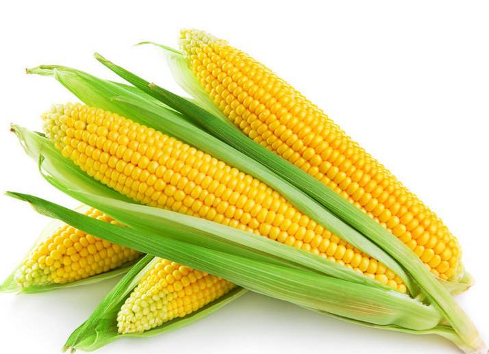 小孩拉肚子能吃玉米嗎