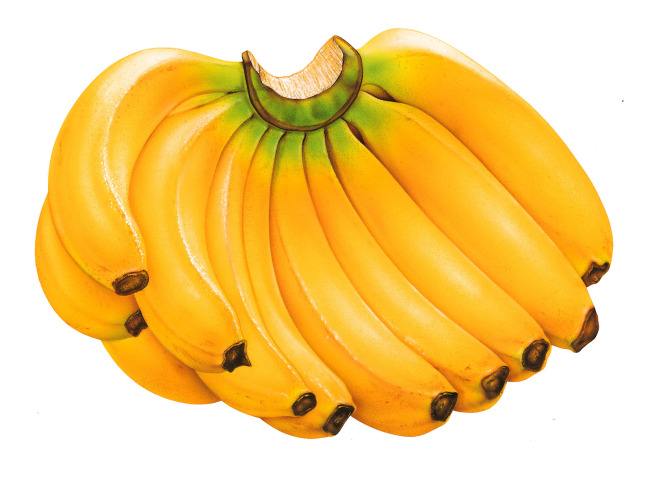 產後便秘能吃香蕉嗎