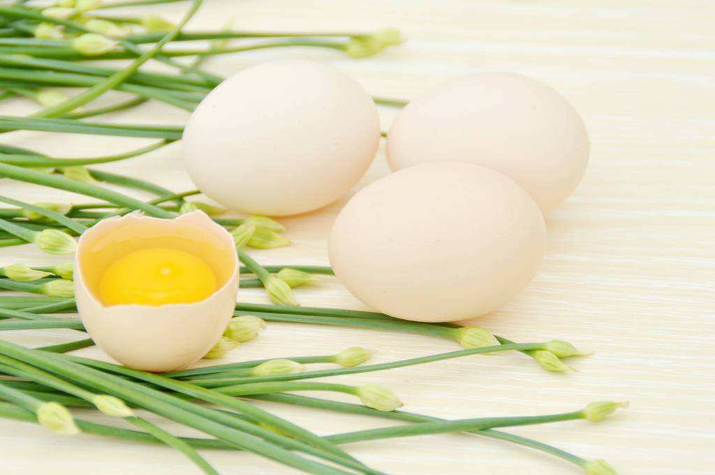 發燒能吃雞蛋嗎