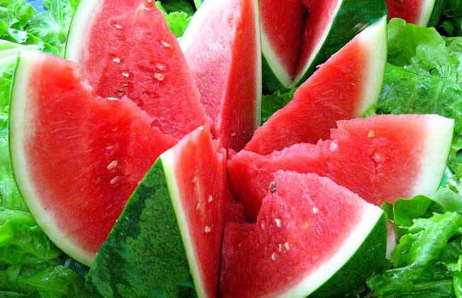 孕婦牙齦腫痛可以吃西瓜嗎