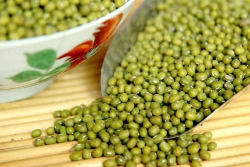 孕婦牙齦腫痛可以吃綠豆嗎