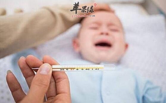 解熱降溫的食物有哪些