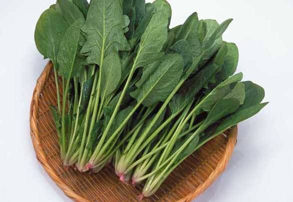 尿酸高吃什麼食物好