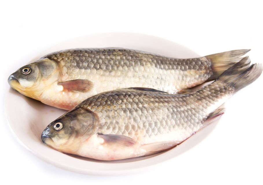 皮膚過敏可以吃魚嗎