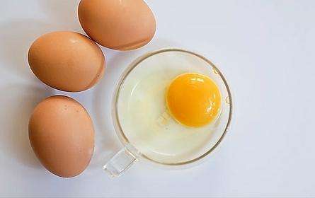 皮膚過敏可以吃雞蛋嗎