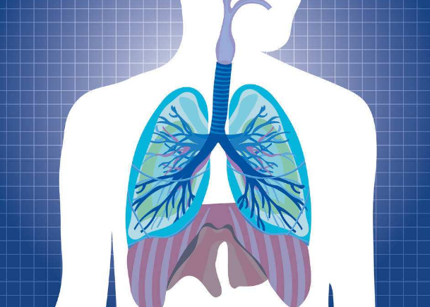 肺不好應該采用哪些養肺方法