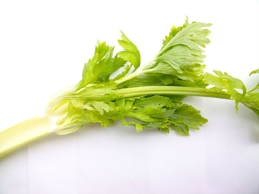 通過蔬菜減肥效果好 常見蔬菜幫助瘦身