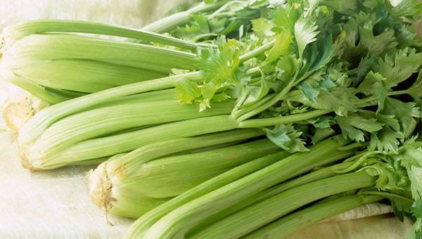 血壓低能吃芹菜嗎