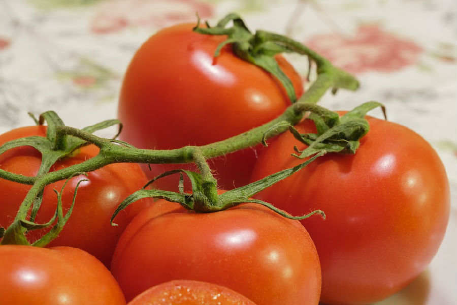 吃西紅柿可以幫助緩解口腔潰瘍嗎