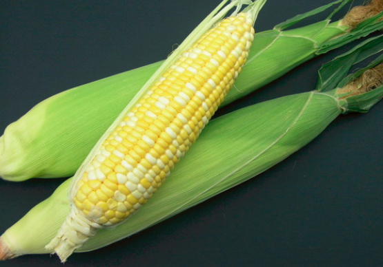 吃玉米會發胖嗎