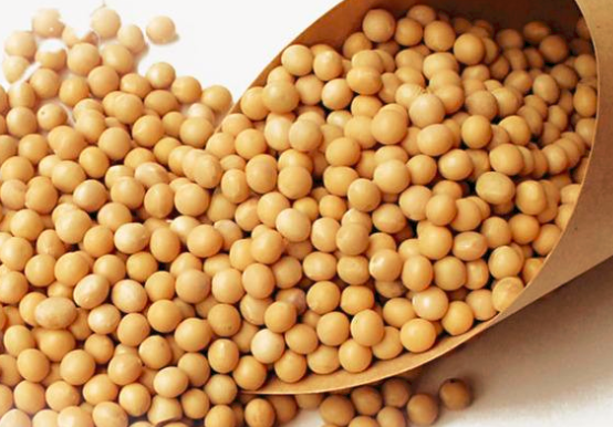哺乳期能吃黃豆嗎