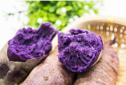 吃紫薯的註意事項有哪些