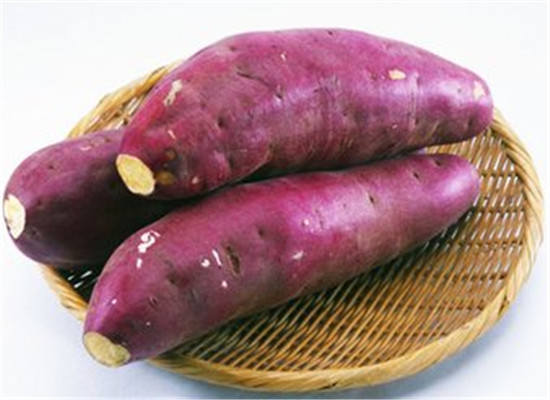 地瓜和馬鈴薯適合調理脾胃虛體質