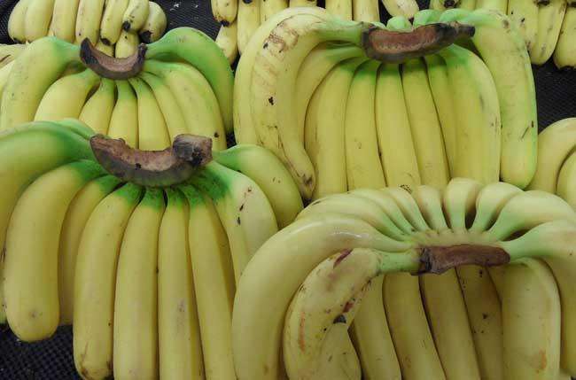寶寶發燒可以吃香蕉嗎