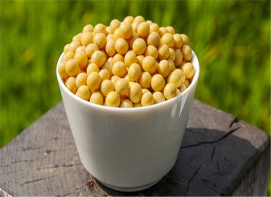 骨質疏松吃什麼食物好 推薦幾種補鈣食物